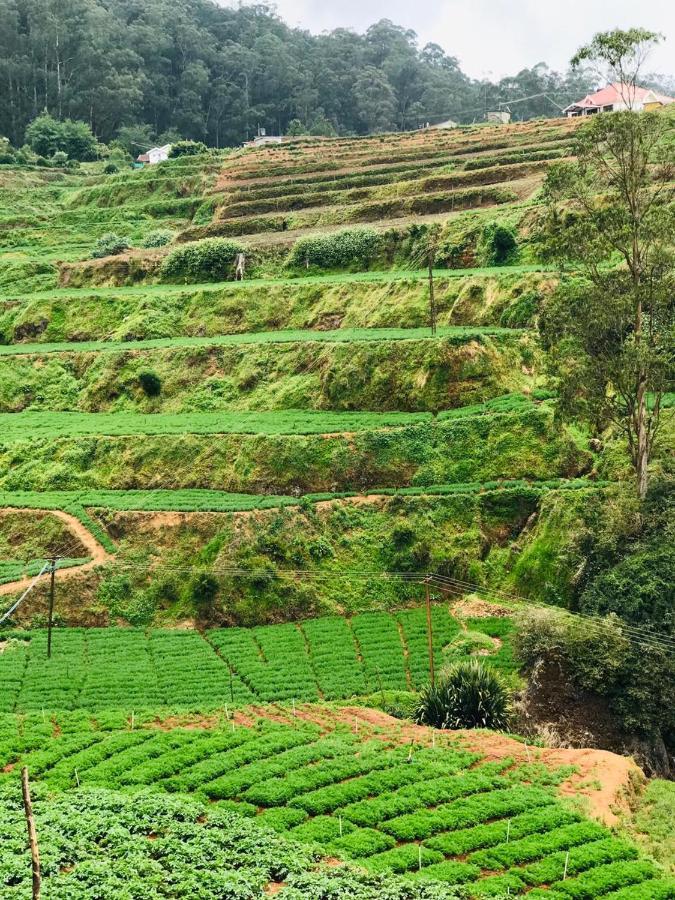 Mountain View Cottage Ooty Εξωτερικό φωτογραφία