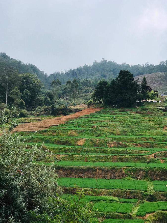 Mountain View Cottage Ooty Εξωτερικό φωτογραφία